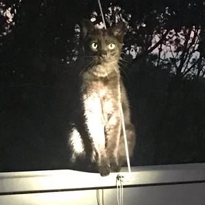 Meet your Posher, Marta